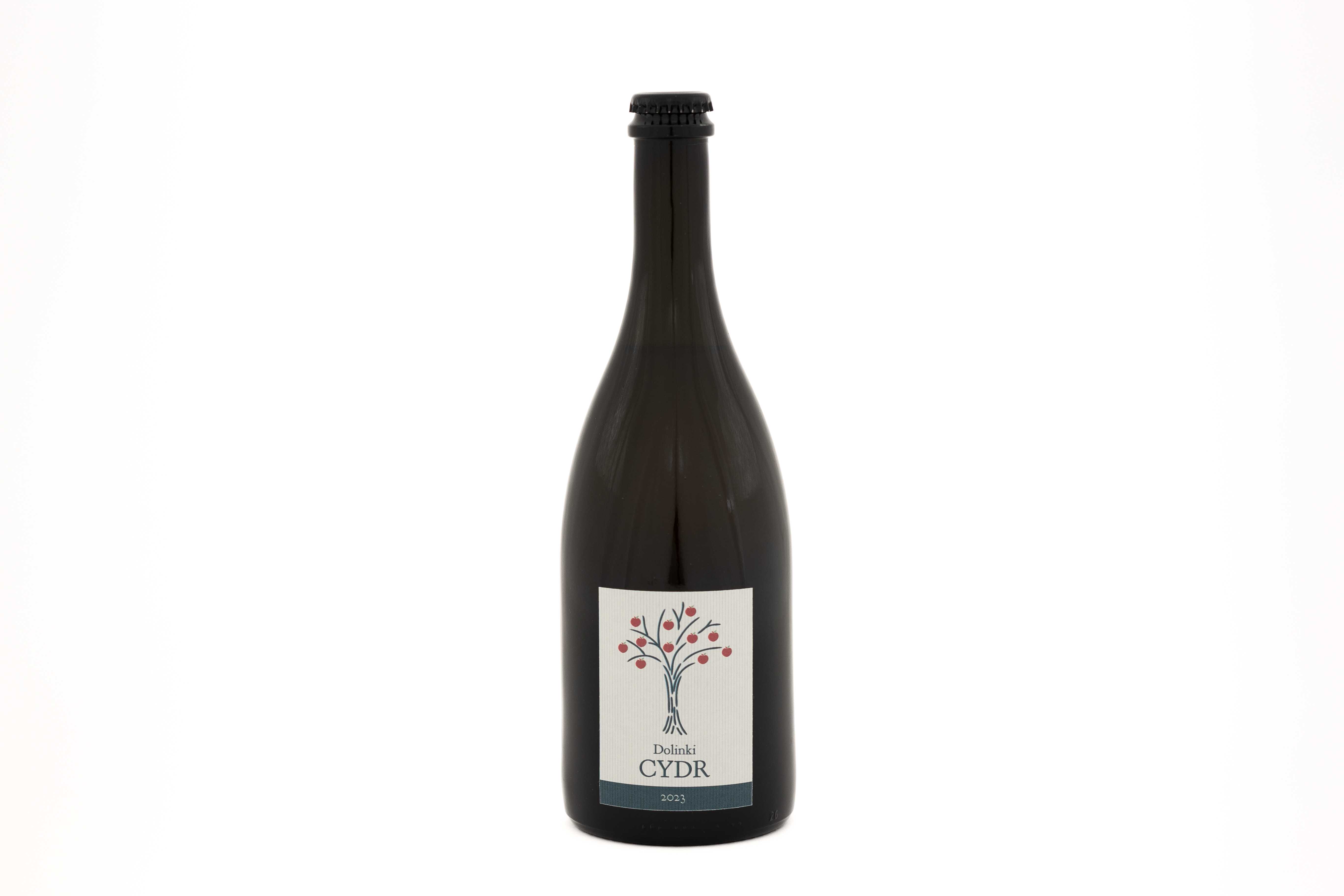 Butelka cydru półwytrawnego, pół musującego, niefiltrowanego z rocznika 2023